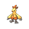 Shiny Combusken sprite