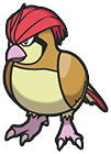 Pidgeotto in Brilliant Diamond & Shining Pearl