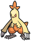 Combusken in Brilliant Diamond & Shining Pearl