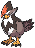 Staraptor in Brilliant Diamond & Shining Pearl