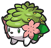Shaymin Land in Brilliant Diamond & Shining Pearl