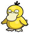 Psyduck in Brilliant Diamond & Shining Pearl