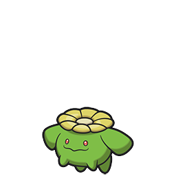 Skiploom