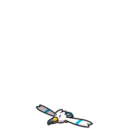 Wingull