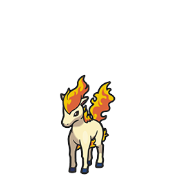 Ponyta