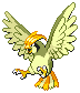 Shiny Pidgeotto in Black & White