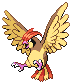 Pidgeotto in Black & White