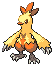 Shiny Combusken in Black & White