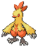 Combusken in Black & White