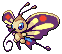 Shiny Beautifly in Black & White