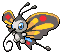 Beautifly in Black & White