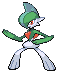 Gallade in Black & White