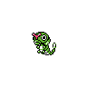 Caterpie