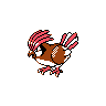 Pidgeotto