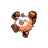 Primeape