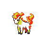 Ponyta