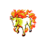 Rapidash