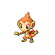 Chimchar