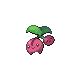 Cherubi