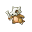 Cubone