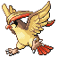 Pidgeot
