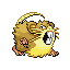 Raticate
