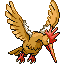 Fearow