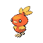 Torchic
