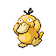 Psyduck