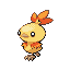 Shiny Torchic sprite
