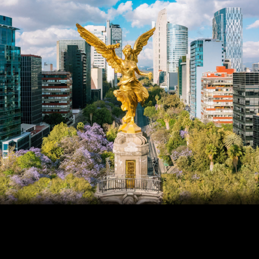 City Safari 2023 Mexico City