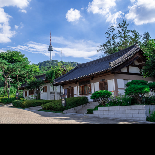 City Safari 2023 Seoul