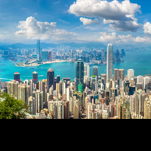 City Safari 2024 Hong Kong