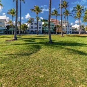 City Safari 2025 Miami