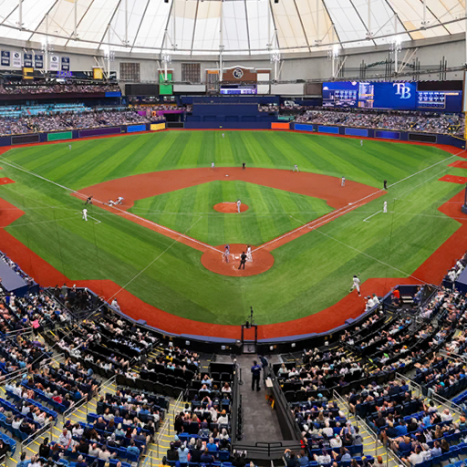 MLB Tampa Bay Rays 2026