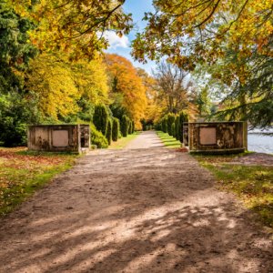 National Trust Clumber Park