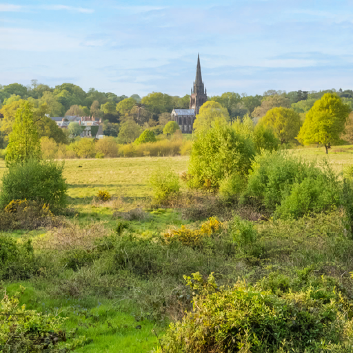 Nationaltrust Clumber Park