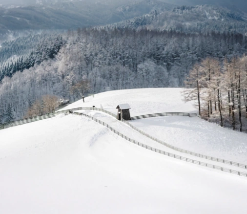 Pyeongchang Winter Festival