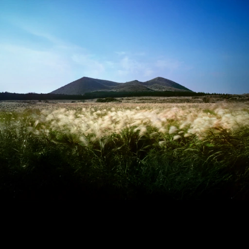 Stamp Rally Jeju Island