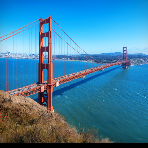 WCS 2026 San Francisco