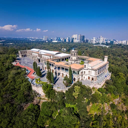 Wild Area Mexico City 2026