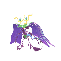 Mega Dragalge
