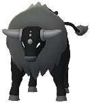 Shiny Paldean Tauros Combat in Pokémon GO