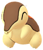 Shiny Cyndaquil in Pokémon GO