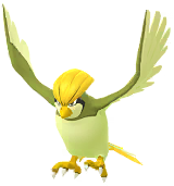 Shiny Pidgeotto in Pokémon GO