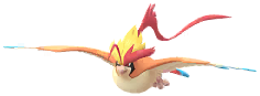 Mega Pidgeot