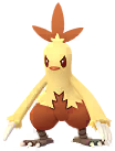 Shiny Combusken in Pokémon GO