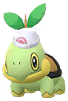 Dawn's Hat Turtwig