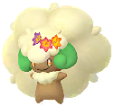 Flower Crown Whimsicott