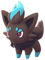Shiny Zorua in Pokémon GO